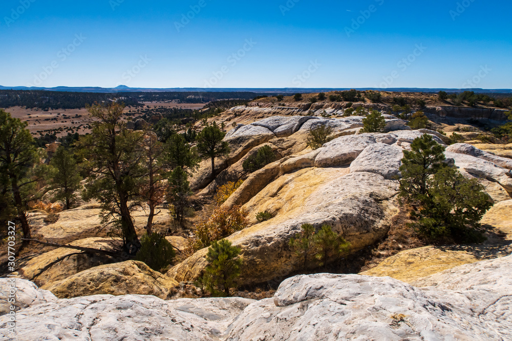 Low angle landscape of trees and rock formations at El Morro National Monument in New Mexico