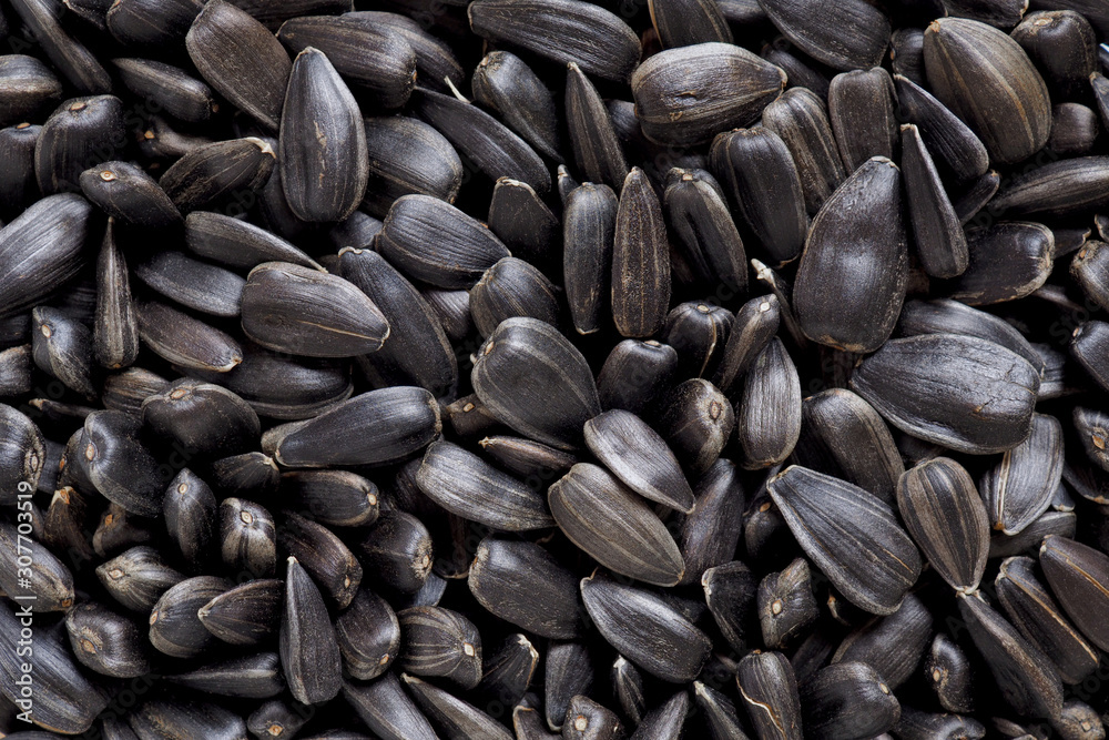 The surface of black sunflower seeds. Illustration or dark black backdrop or wallpaper. Winter food for wild birds. View from above The surface of black sunflower seeds. Illustration or dark black backdrop or wallpaper. Winter food for wild birds. View from above