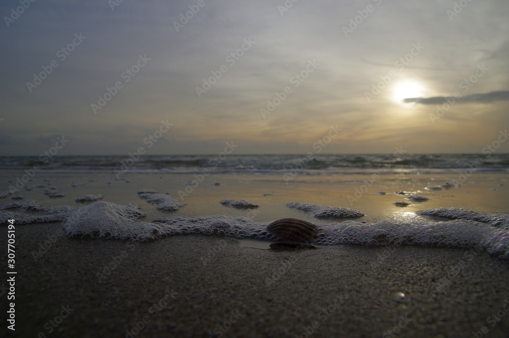 Muschel und Schaum am Nordseestrand