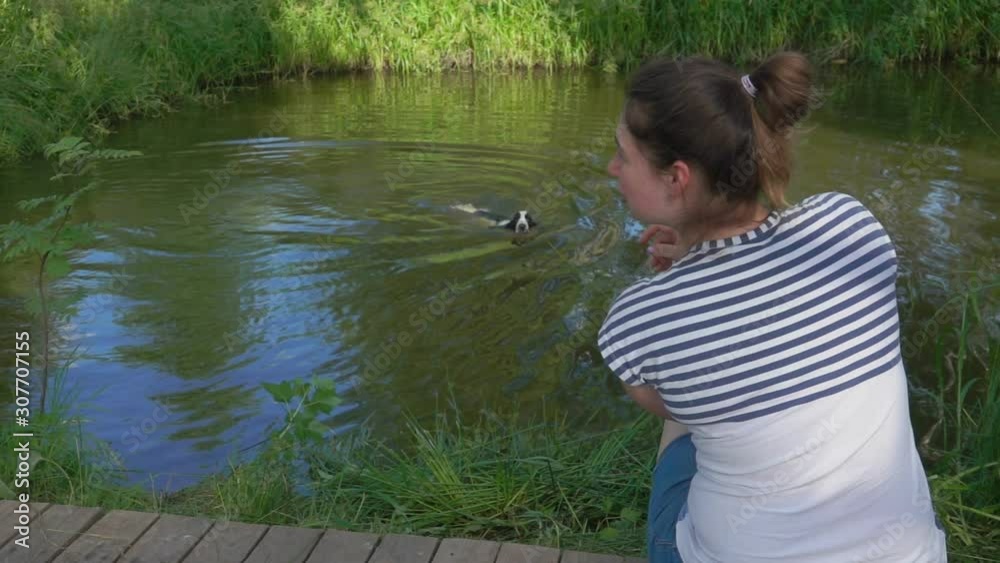 Woman is sitting near pond where her black and white English cocker spaniel is swimming. Woman is showing a direction to swim Woman is sitting near pond where her black and white English cocker spaniel is swimming. Woman is showing a direction to swim