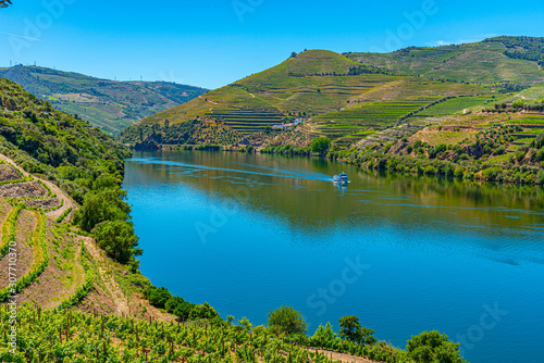 Vineyards alongside river douro in Portugal photo