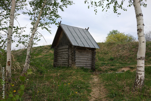 old small wooden house on a background of birches © Anna