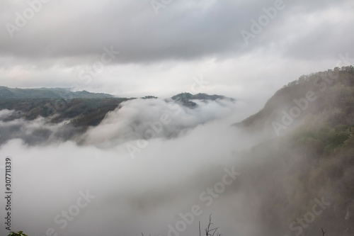 Foggy landscape in the morning © Supriyanto