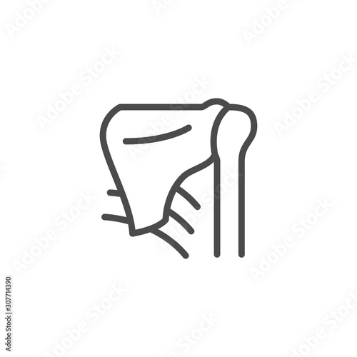 Shoulder blade and joint line outline icon