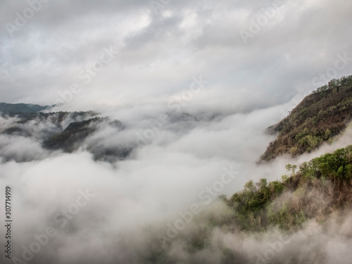 Nature landscape, a foggy forest in Bantul Yogyakarta Indonesia
