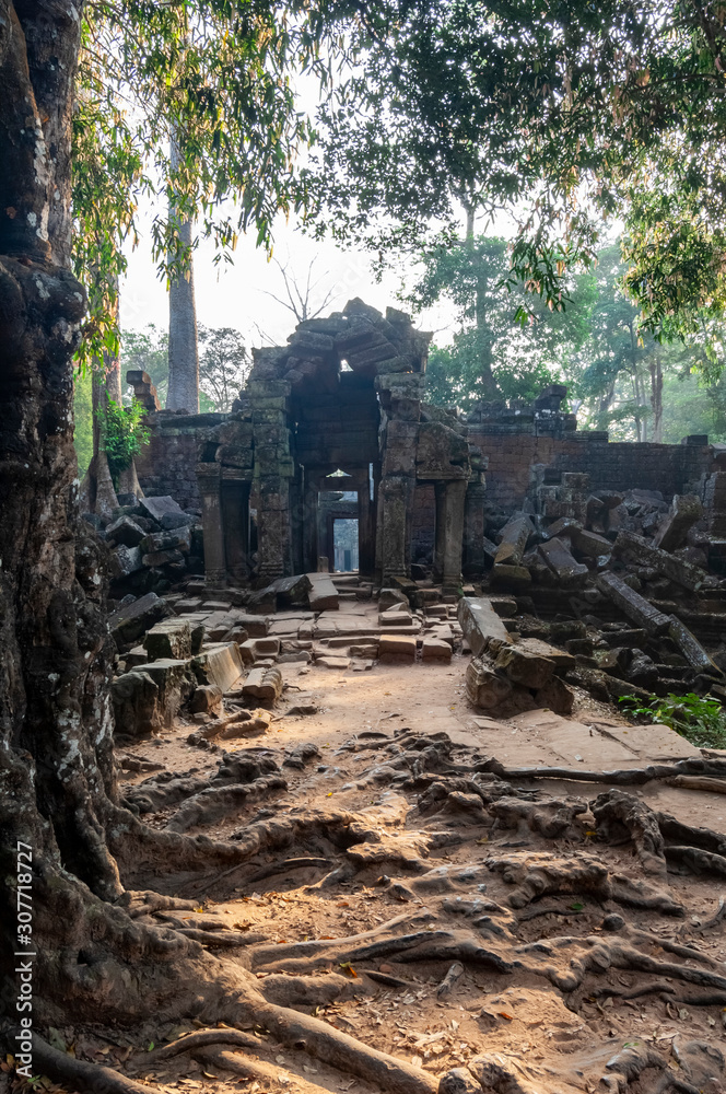 Ta Prohm Temple Causeway