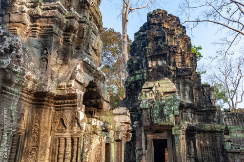 Ta Prohm Temple Ruins