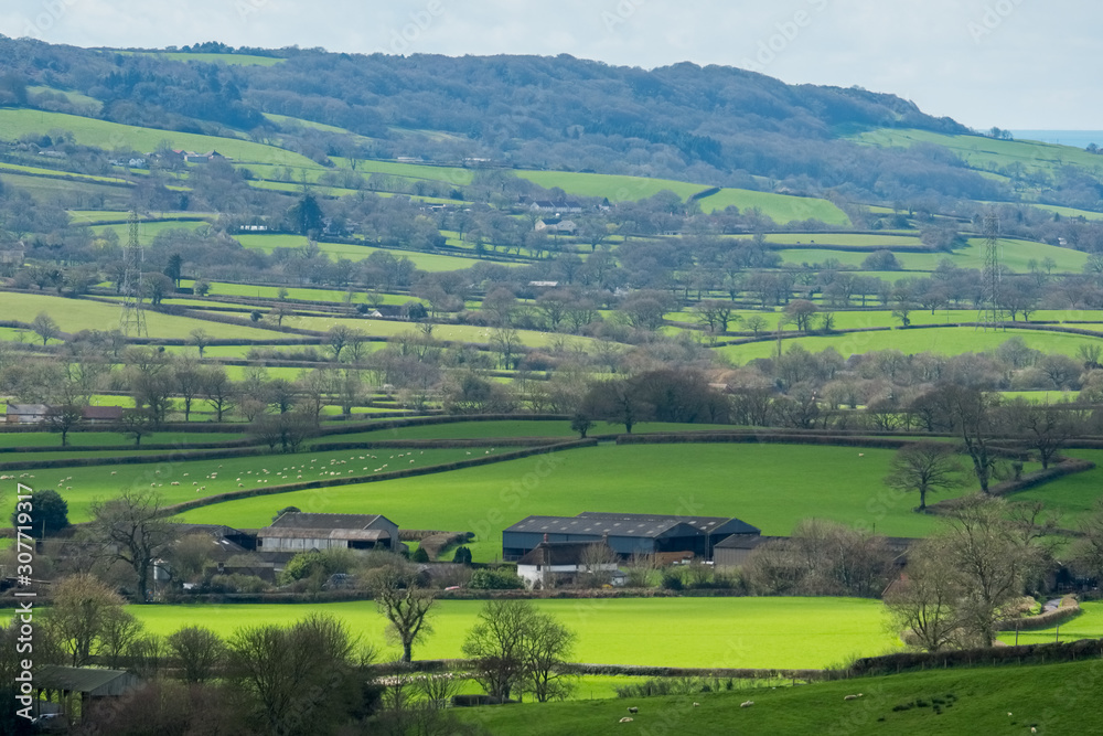 Scenic View of the Undulating Countryside of Somerset