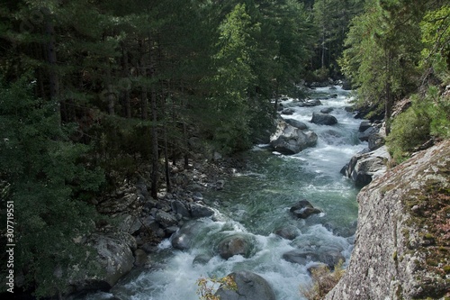 Corsica-river Restonica