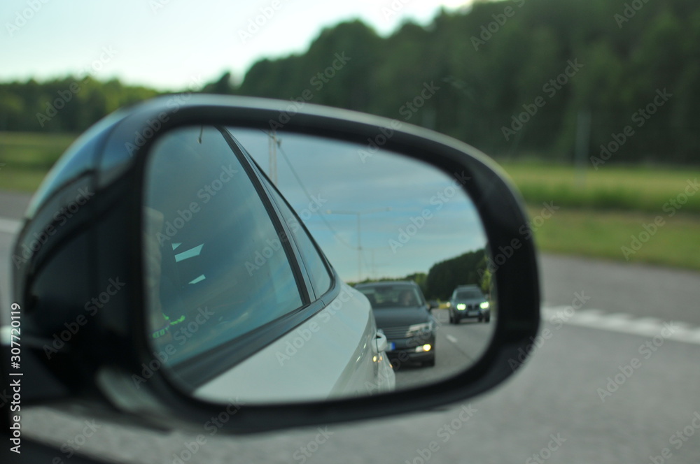 A rear view mirror of a car with pine forest in background