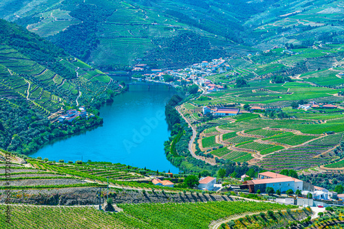 Vineyards and villages at slopes of Douro Valley in Portugal photo