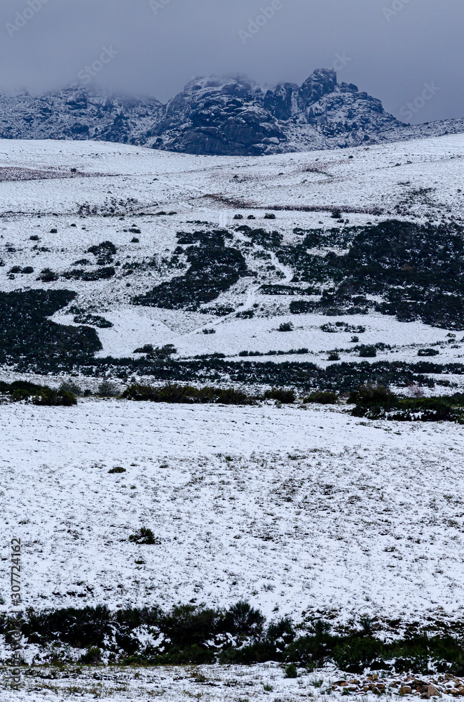 Obraz premium Snowy winter landscape in the Peneda Geres National Park, the only national park in Portugal. Ecology concept.