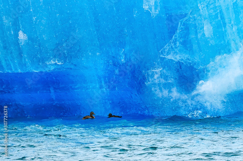 Blue Large Iceberg Ducks Jokulsarlon Glacier Lagoon Iceland