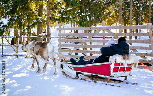 Couple on Reindeer sleigh in Finland in Rovaniemi at Lapland farm. Family of people on Christmas sledge at winter sled ride safari with snow Finnish Arctic north pole. Fun with Norway Saami animals © Roman Babakin