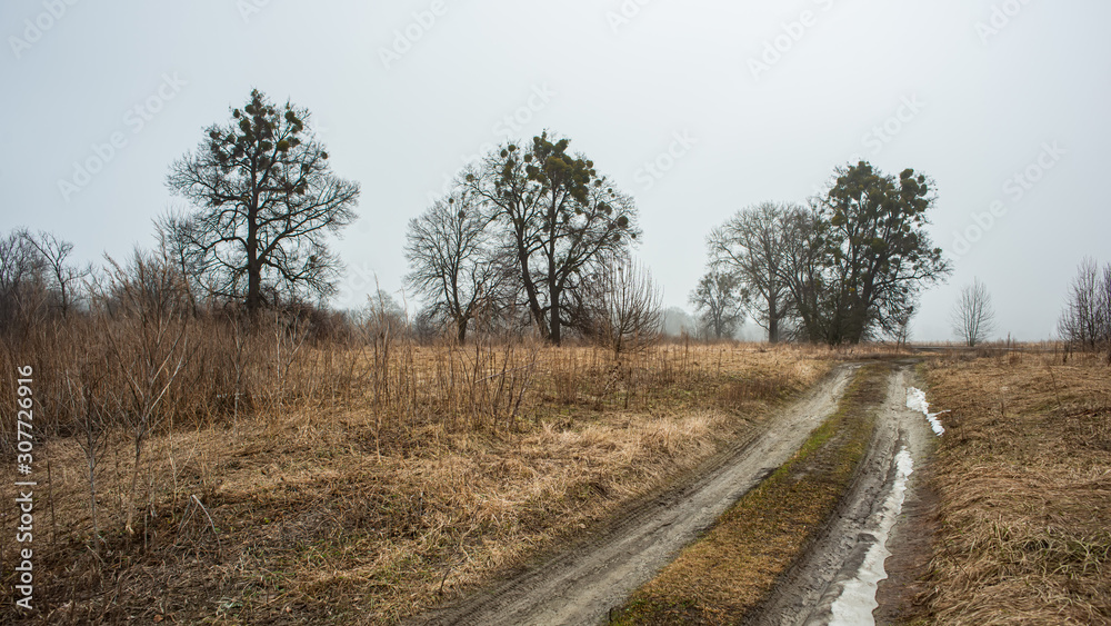 dirt road with snow rest on the background of trees in the meadow. Early spring.