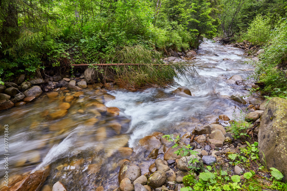 Fototapeta premium River deep in mountain forest.
