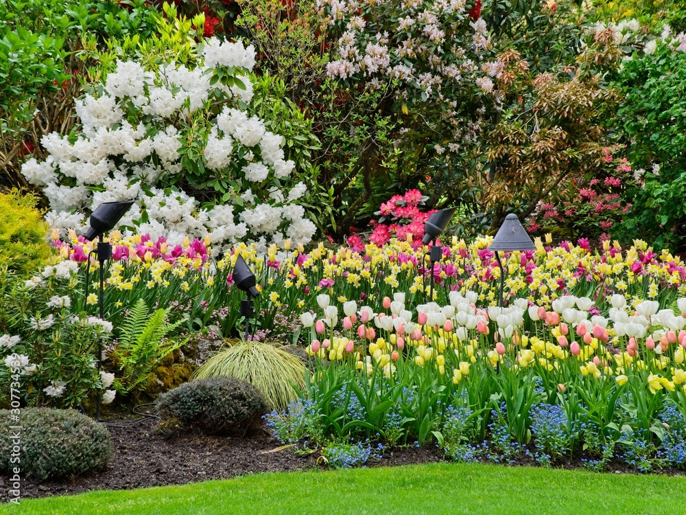 Fototapeta premium Springtime garden