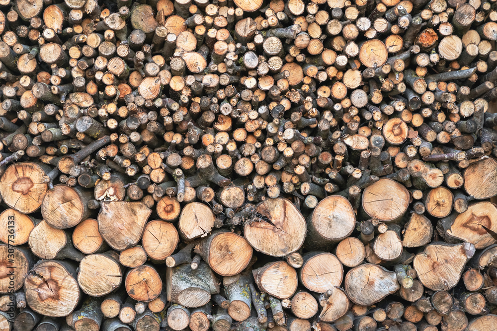 Pile of wooden sawn logs with cross section of the timber close-up , firewood stack, ecologik background or texture Pile of wooden sawn logs with cross section of the timber close-up , firewood stack, ecologik background or texture