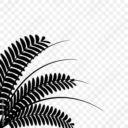 Tropical plant silhouette on transparent background. Vector illustration.