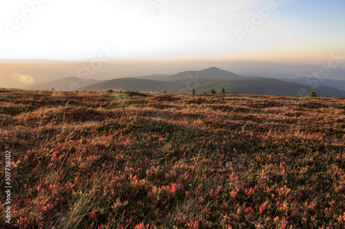 Jesień na Górze Śnieżnik - Karpaty - Polska 