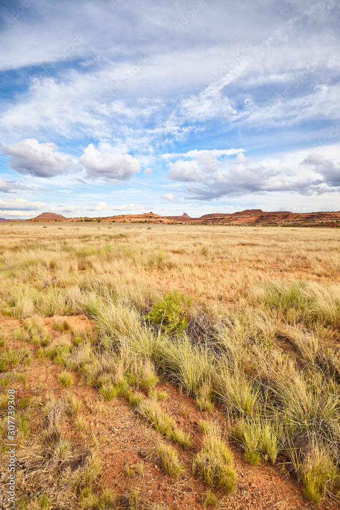 Wild landscape in Canyonlands National Park, Utah, USA. Wild landscape in Canyonlands National Park, Utah, USA.