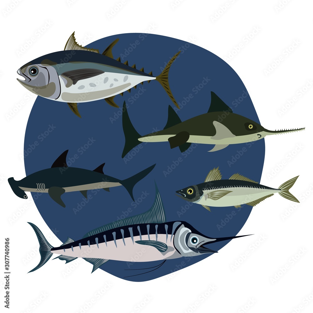 Naklejka premium set a vector of fishes on a white background the ocean