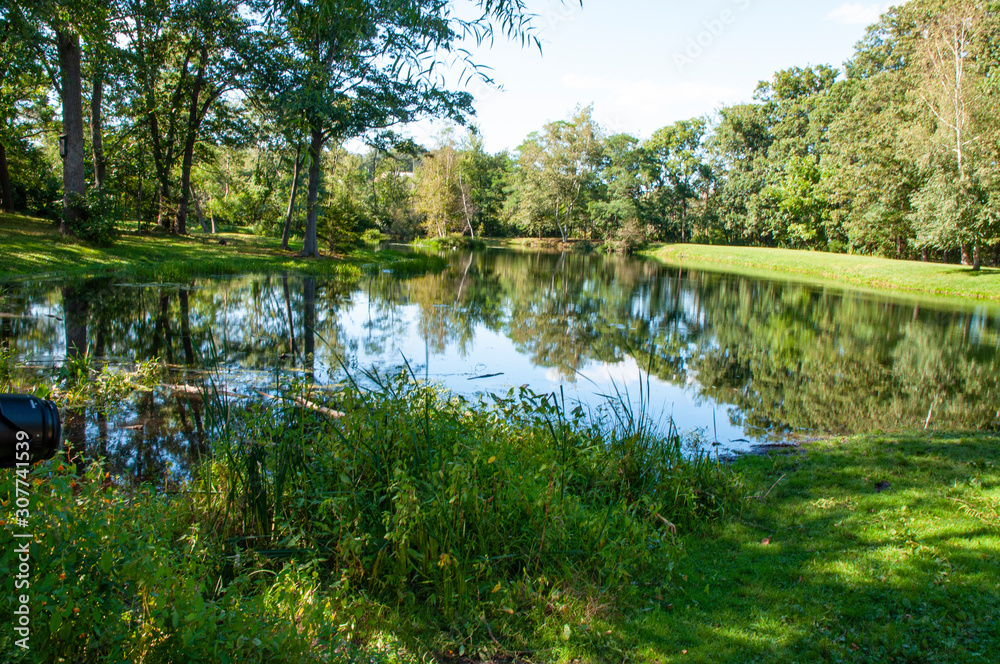 Pond Reflection