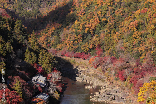 京都 保津峡 紅葉とトロッコ列車