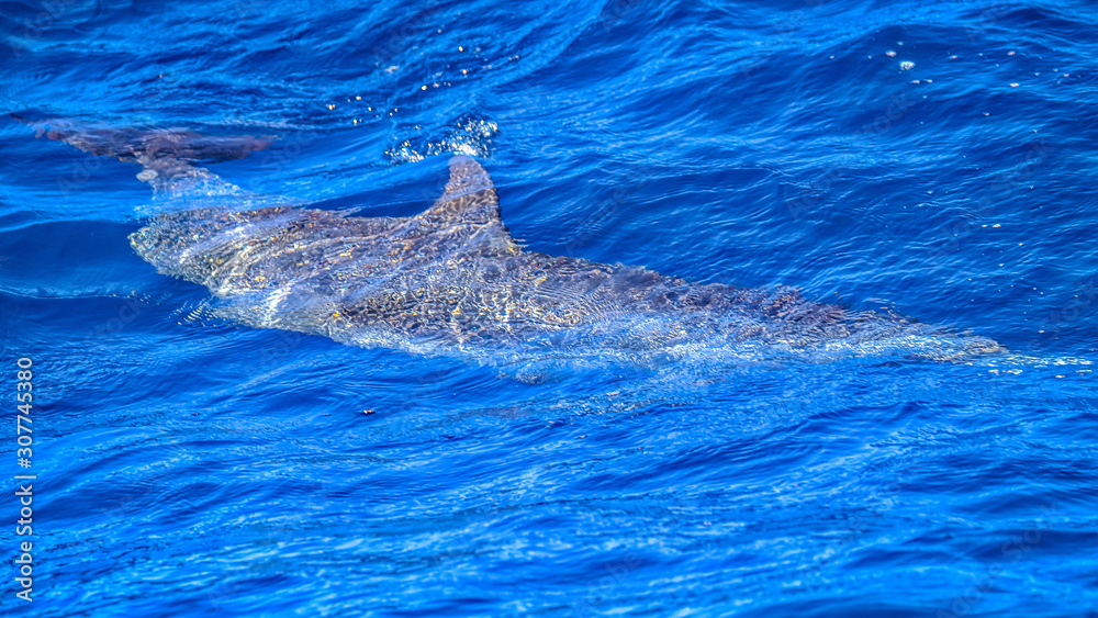 Obraz premium United States Virgin Islands