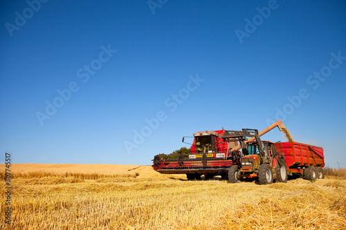 Moissonneuse et tracteur r  coltant le bl   dans les champs.