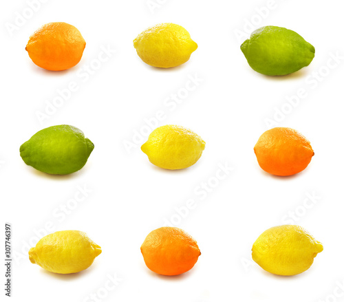 Different refreshing citrus fruits. Fruit set.Green lemon photo