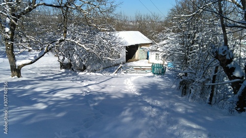 house in winter forest