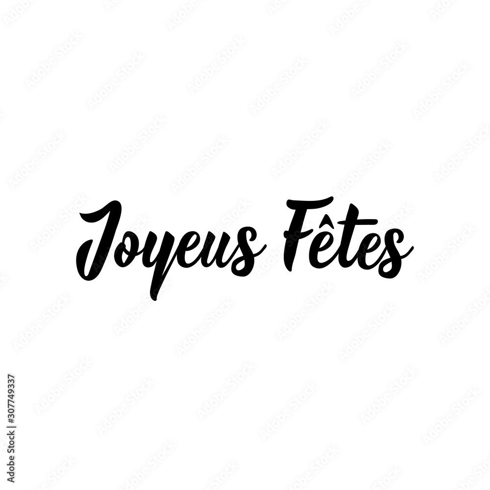 Joyeuses Fetes. Happy Holidays in French language. Hand drawn lettering background. Ink illustration. Joyeuses Fetes. Happy Holidays in French language. Hand drawn lettering background. Ink illustration.