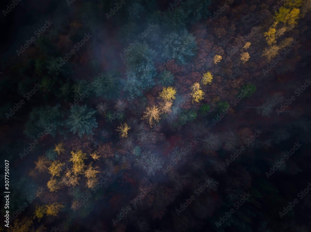 Fototapeta premium Atmospheric Foggy Autumn Morning at Middle Rhine Valley