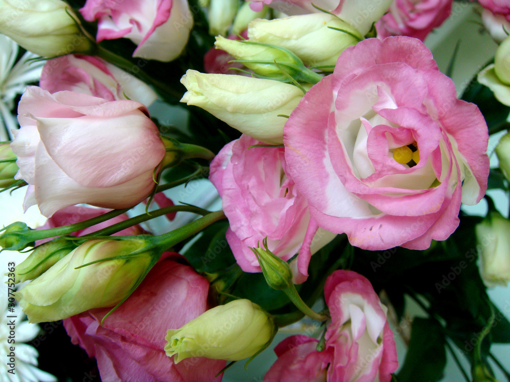 Delicate flowers group bright cerise pink Delicate flowers group bright cerise pink