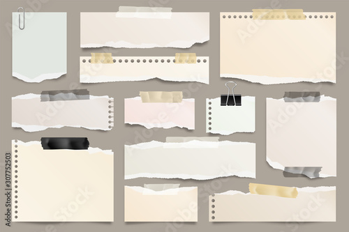 Colored ripped paper strips collection. Realistic paper scraps with torn edges and adhesive tape. Sticky notes, shreds of notebook pages. Vector illustration.