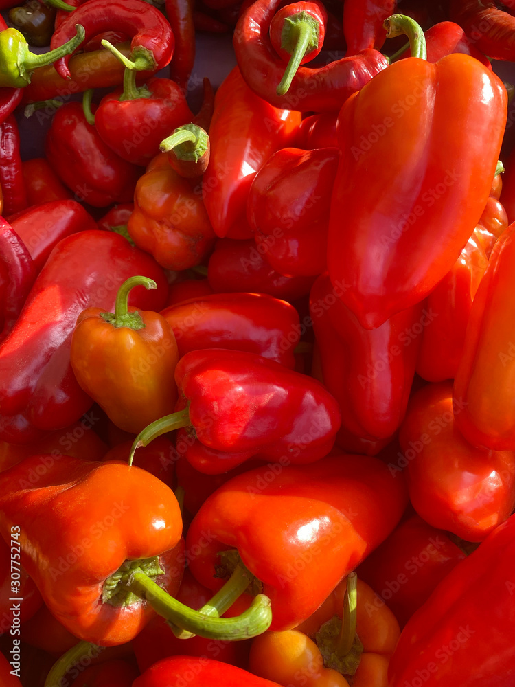 red bell peppers on display at the market red bell peppers on display at the market