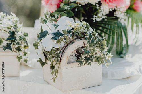 lâcher de colombes pour le mariage photo