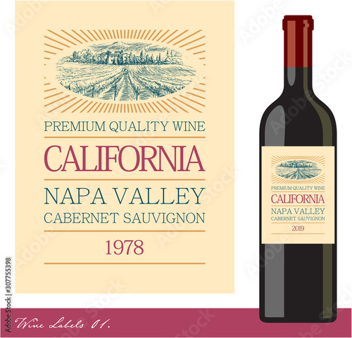 Wine label. Wine bottle. Vineyard drawing