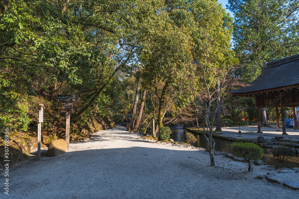 京都 上賀茂神社 森の中の参道