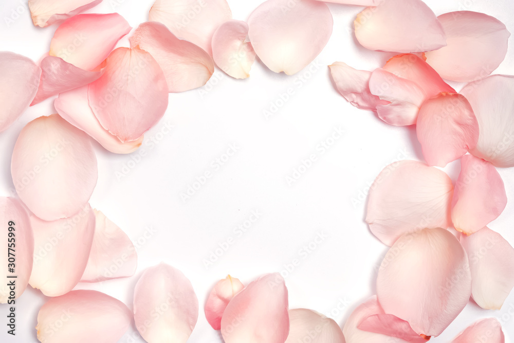 Fototapeta premium Rose flower petals arranged to frame
