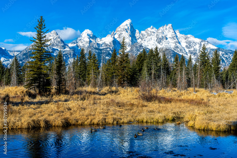 River, Lake, Forest of Trees, Tetons, Mountains