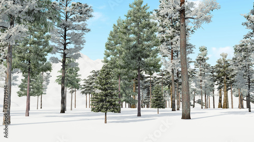 Tree in Snow Weather, Winter Background, 3D Rendering