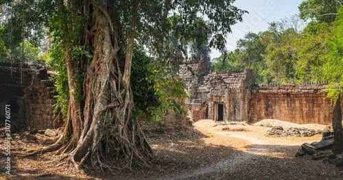 Od ruins of Preah Khan Temple with tropical trees growing among them, Siem Reap, Cambodia.