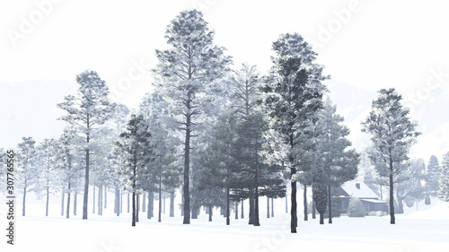 Tree in Winter Fog Weather, Background, 3D Rendering