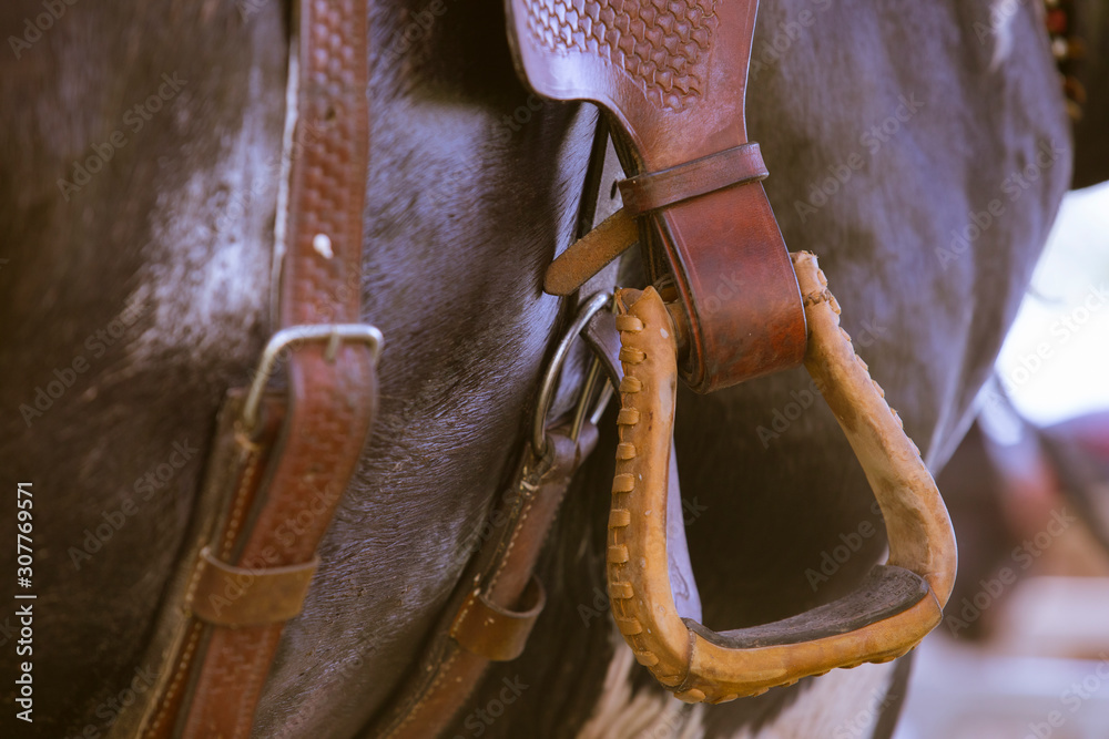 Horse stirrup,Horse Riding Stirrups,Saddle with stirrups, Closeup Stock