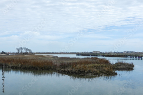 Saltwater marsh in South Carolina