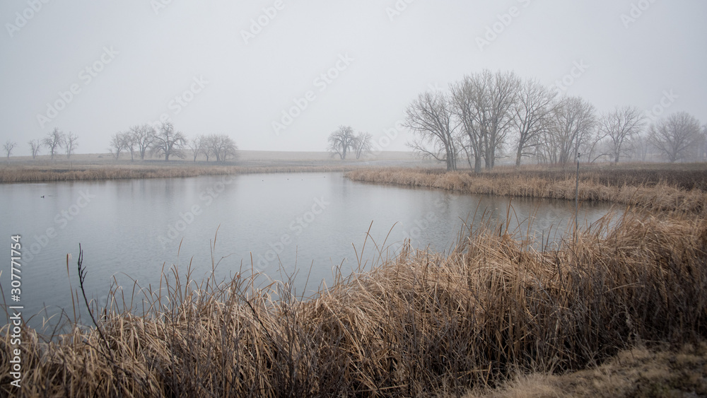 Misty Lake #2