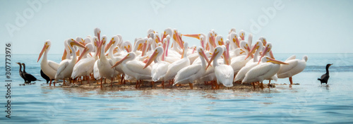 Small Island in the Gulf