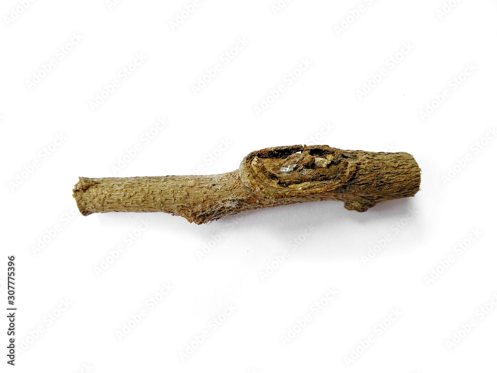 Tree branches set isolated on white background. Wood pile or tree sticks isolated on white background. Twigs, set macro dry branches birch isolated on white background, with clipping path. Tree branches set isolated on white background. Wood pile or tree sticks isolated on white background. Twigs, set macro dry branches birch isolated on white background, with clipping path.